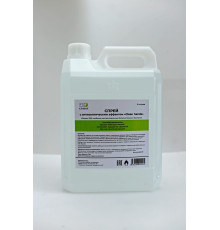 Спрей с антисептическим эффектом "Clean Hands" 5000мл (канистра)